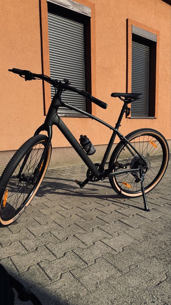 TREK Dual Sport 2 Gen 5 (2025)