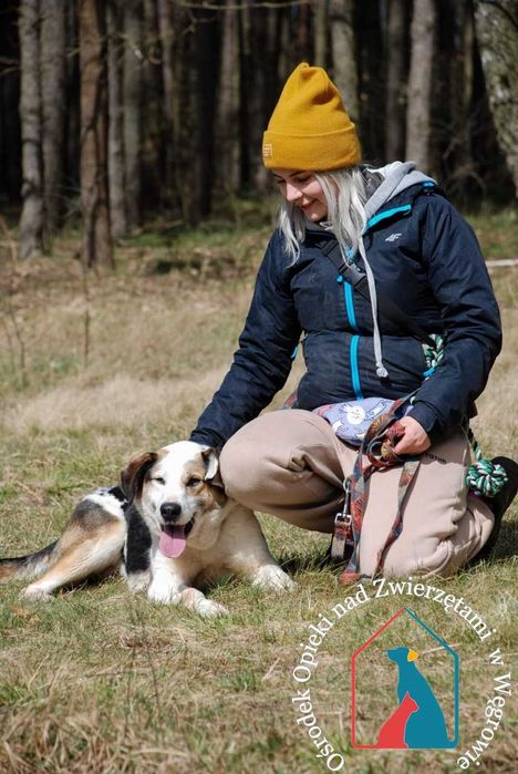 Piękny, duży, wesoły, kocha ludzi - czeka 8 lat na dom!