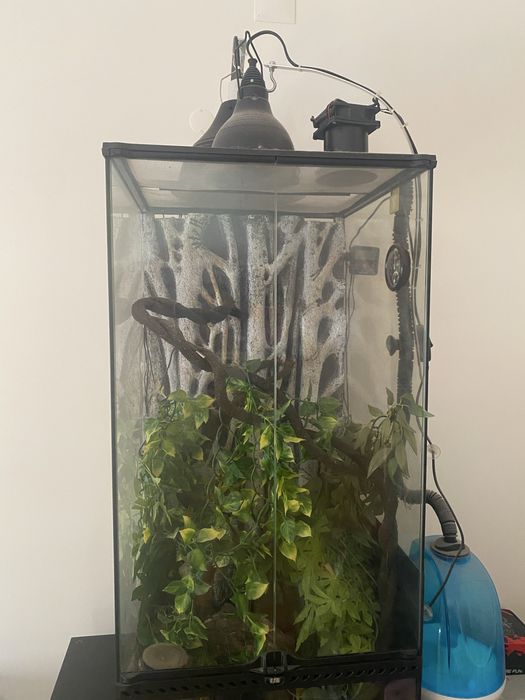 Vende se terrario