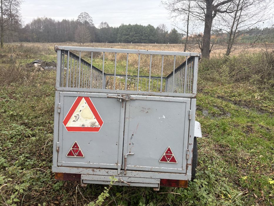 Przyczepa jedno osiowa