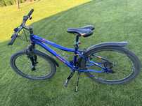 Rower Onilus Muranus 1.0 rama 15