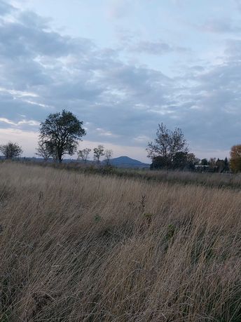 Duża działka z widokiem na Landeskrone gmina Zgorzelec