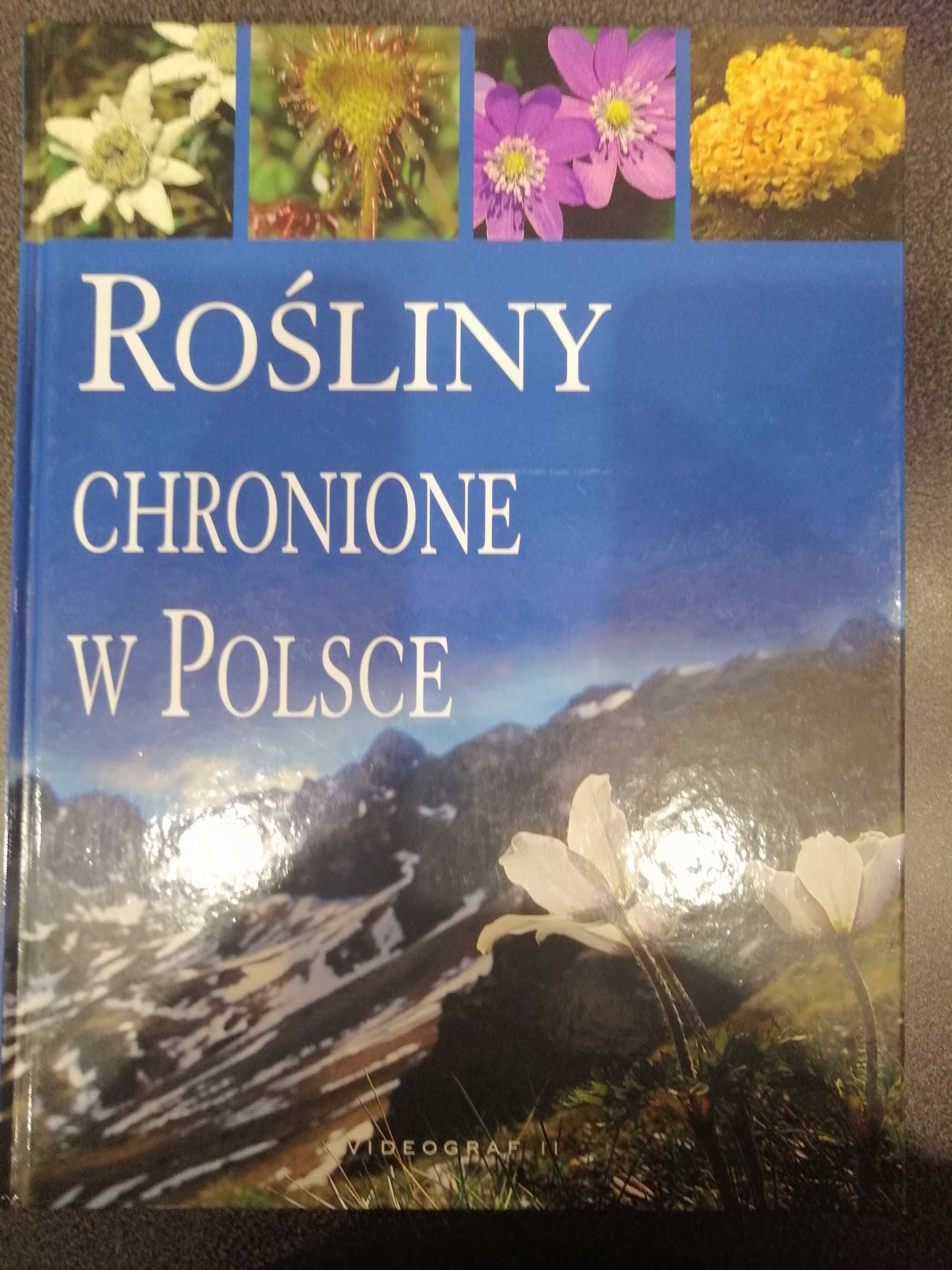 Rośliny chronione w Polsce.