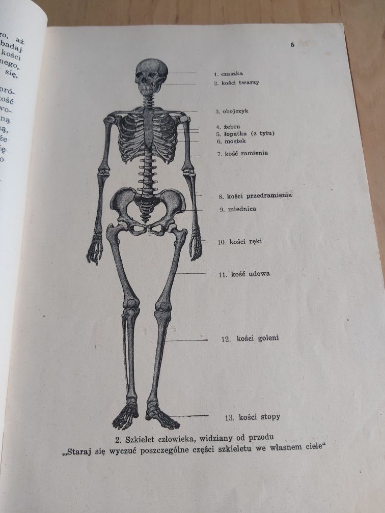 Stara książka -Nauka o człowieku łącznie z higjeną