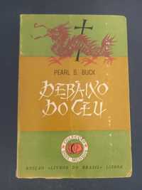 Livro Debaixo do céu