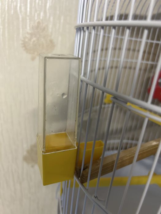 Продам італійську клітку для папуг Ferplast Regina з підставкою