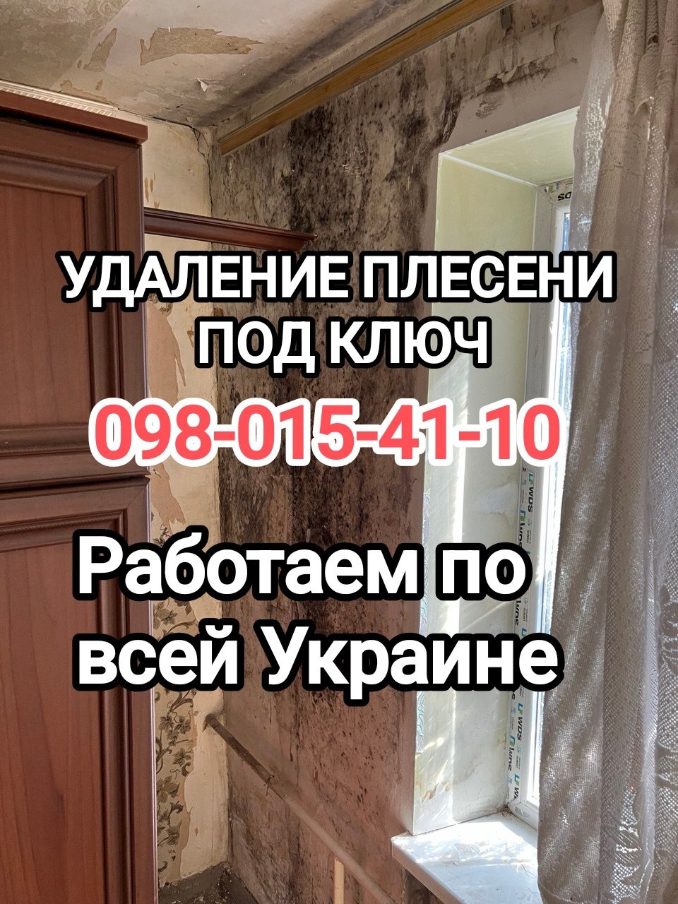 Уничтожение тараканов клопов блох крыс Устранить Трупный ЗАПАХ Плесень