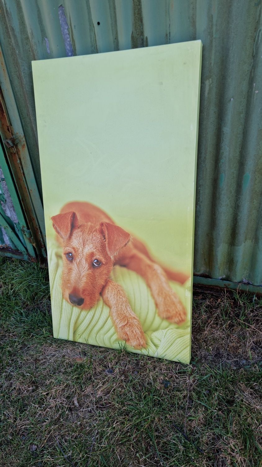 Obraz płótno Canwas piesek 130x70