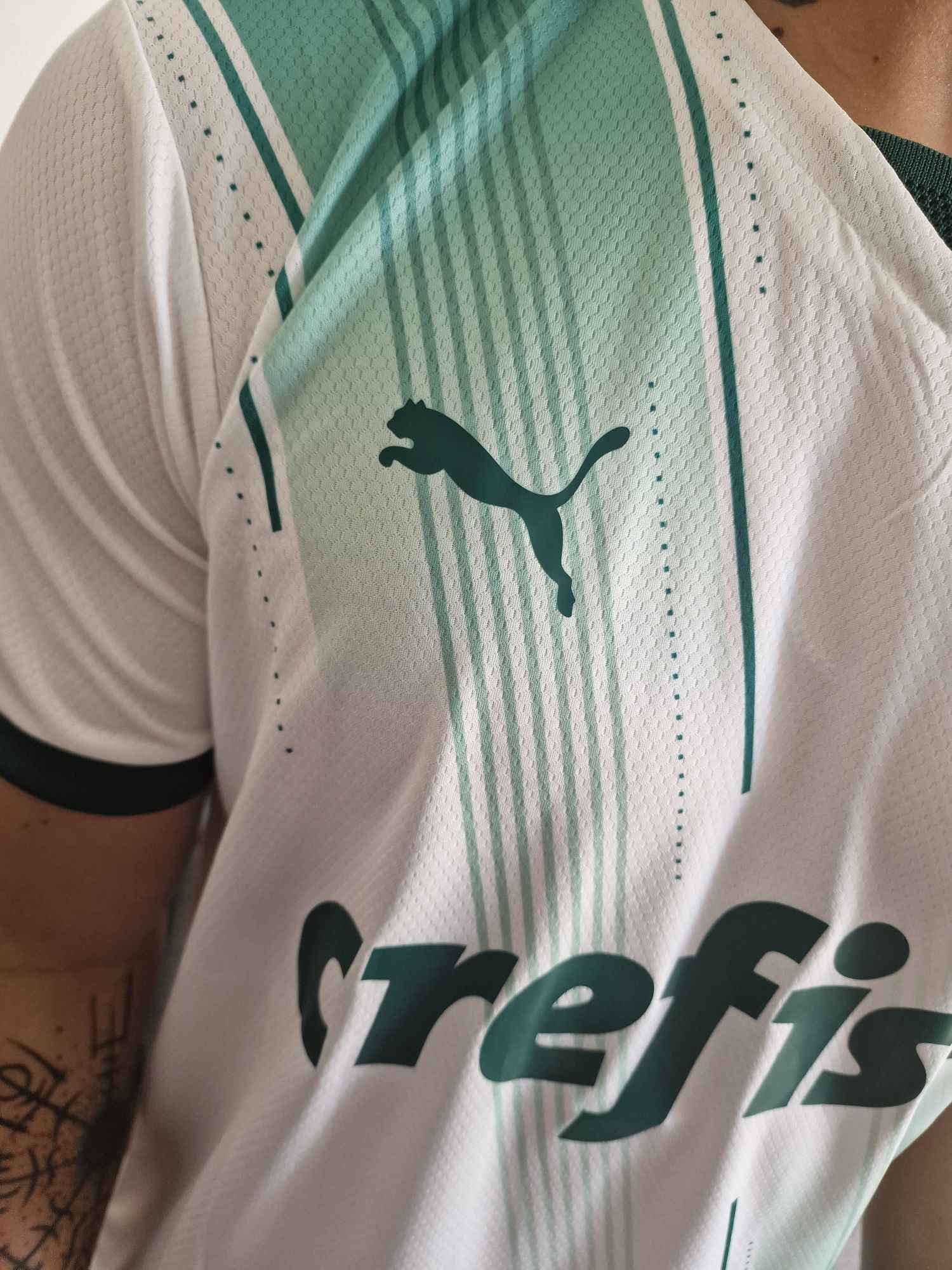 Nova Camisa do Palmeiras