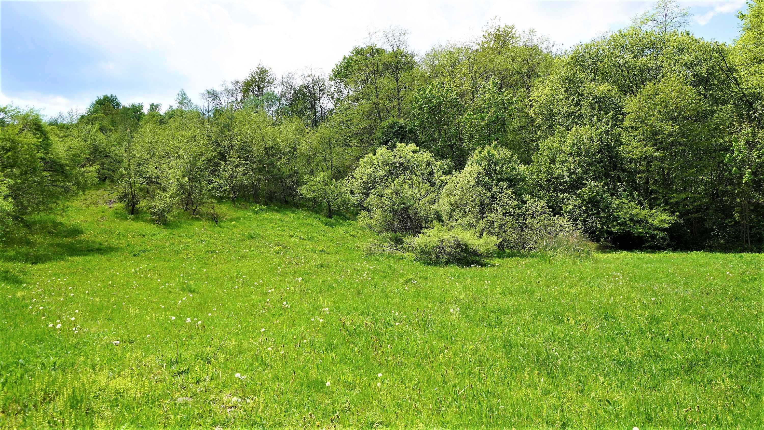 Działka krajobrazowa nad potokiem NOWICA Beskid Niski