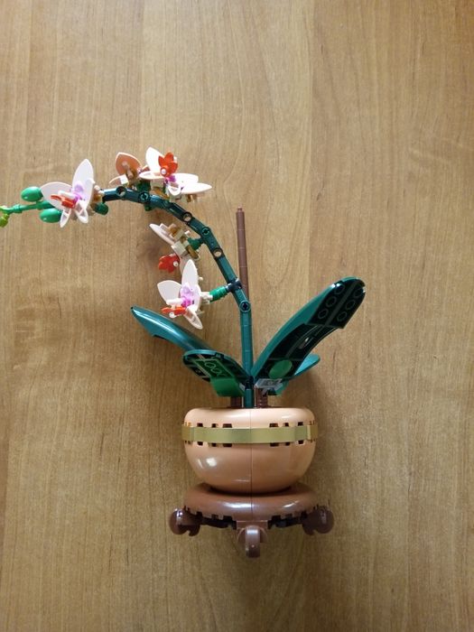 LEGO Orchidea 10343 Botanical