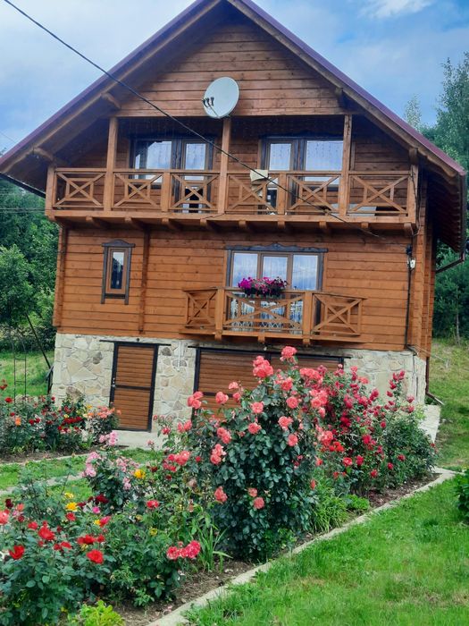 Затишний відпочинок  у Карпатах