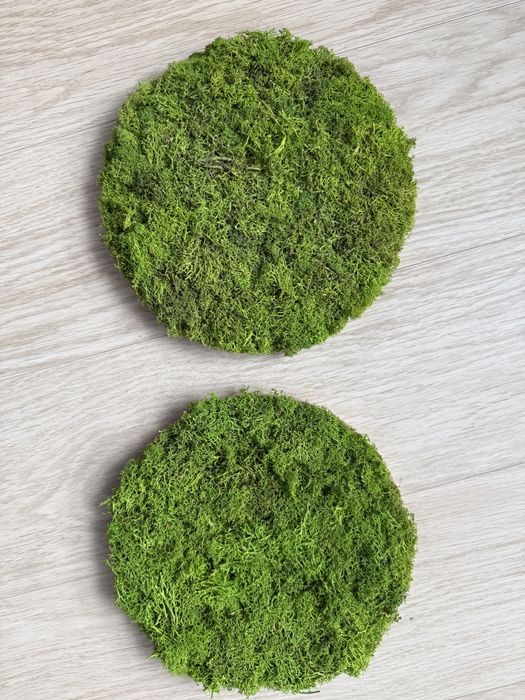 Koło z mchu chrobotek na ściane 25cm (2 sztuki)