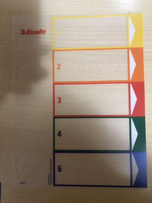 Conjunto de 5 Separadores Esselte