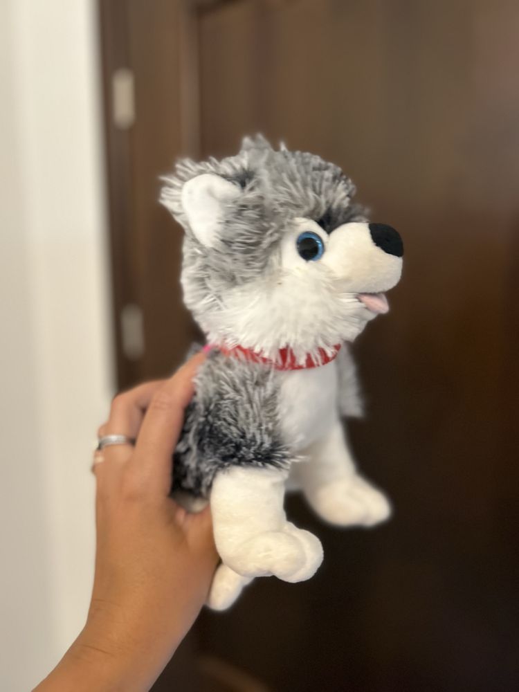 Maskotka piesek husky