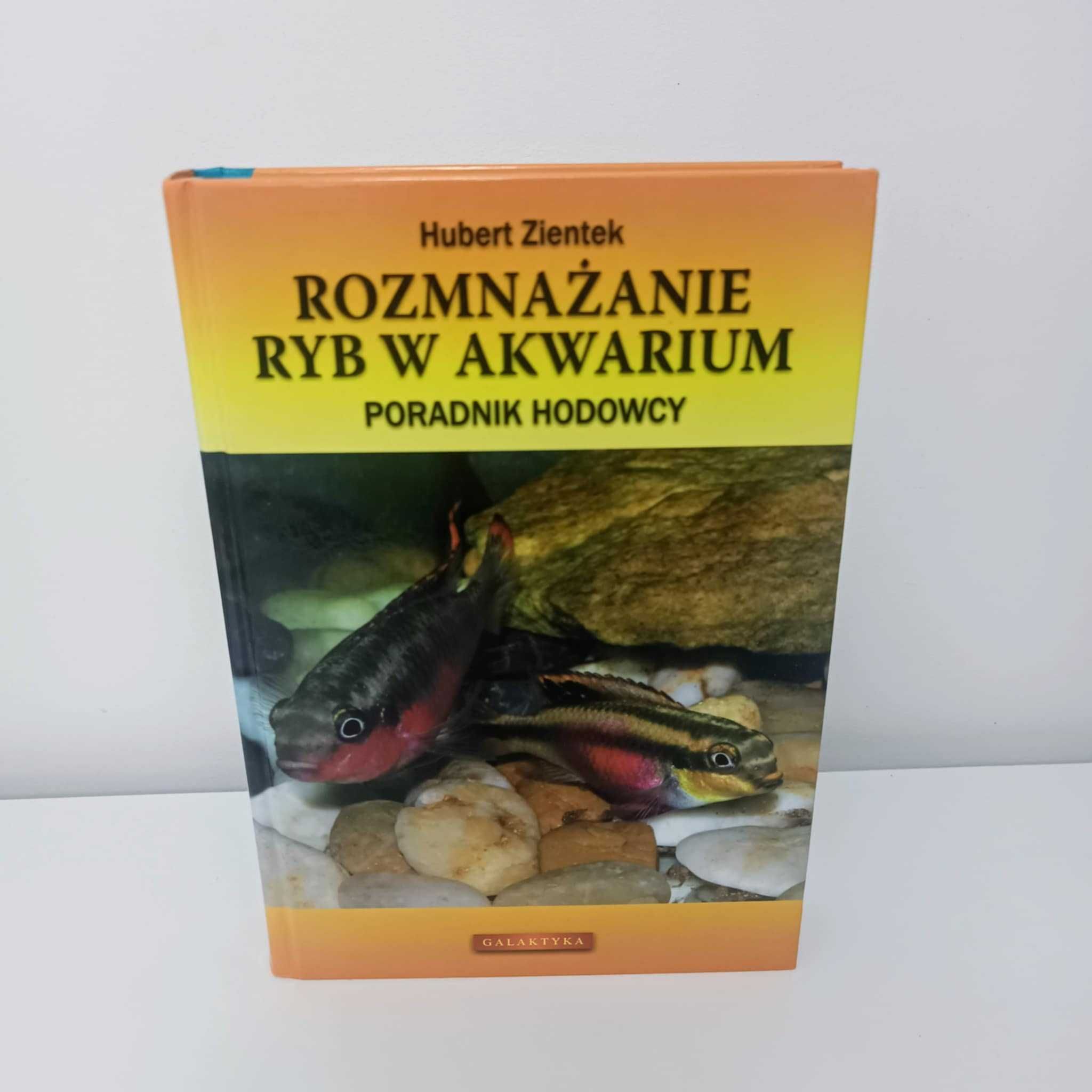 Zientek Rozmnażanie ryb w akwarium UNIKAT