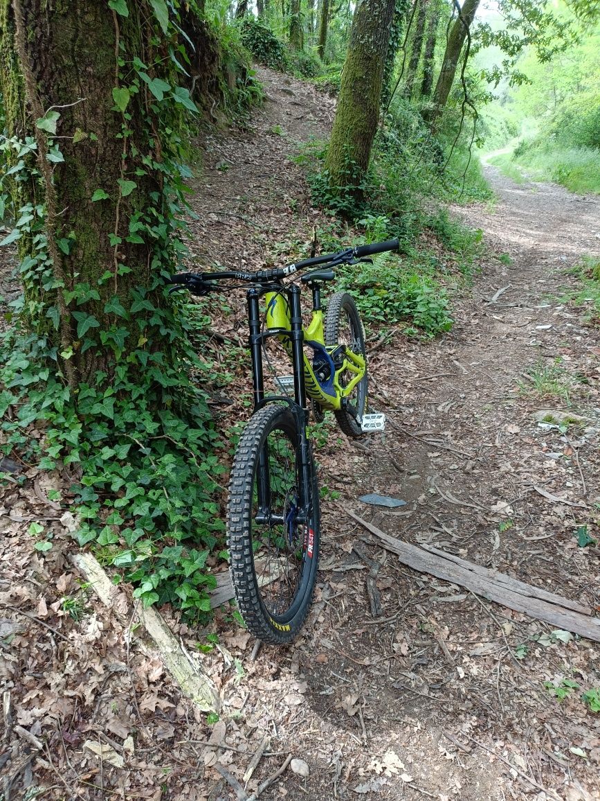 Specialized demo 8 2015