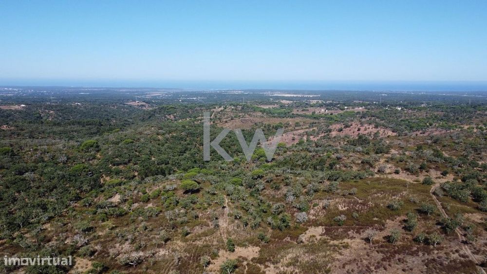 Terreno com 50 hectares, uma vista deslumbrante e inúmeras possibilida