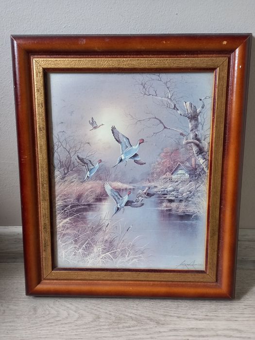 Obraz Kaczki nad Rzeką Turkowiak