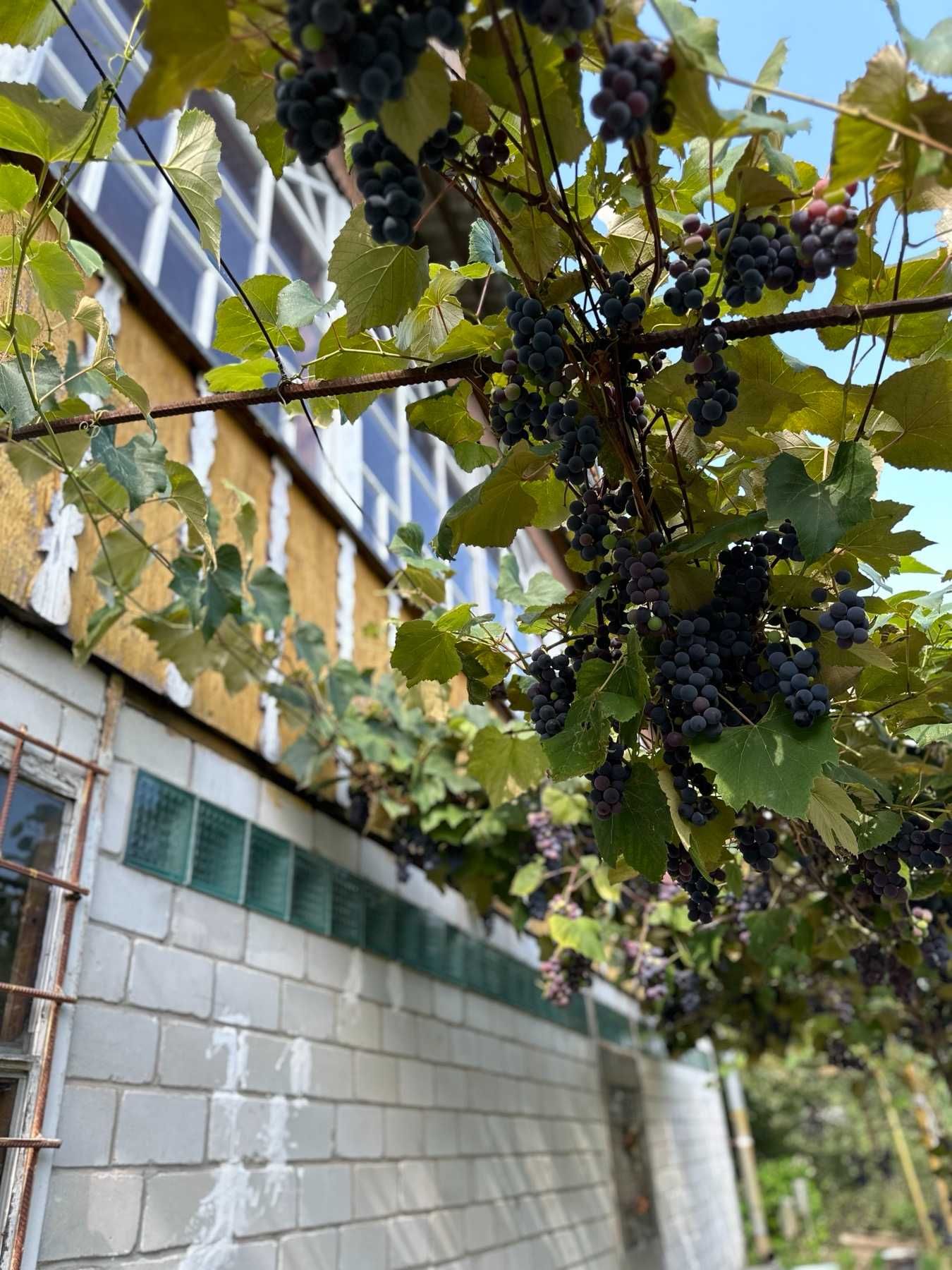Продаж будинку с.Модричі