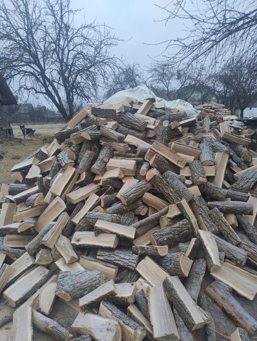 Дрова  Рубані з доставкою