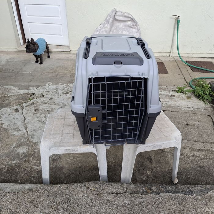 Transportadora - aprovada avião