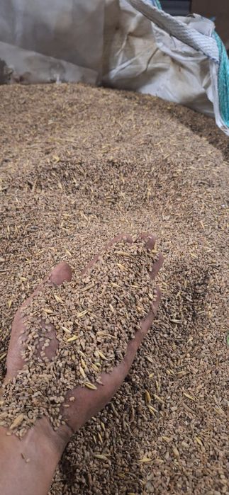 Seradela/saladera do wyczyszczenia