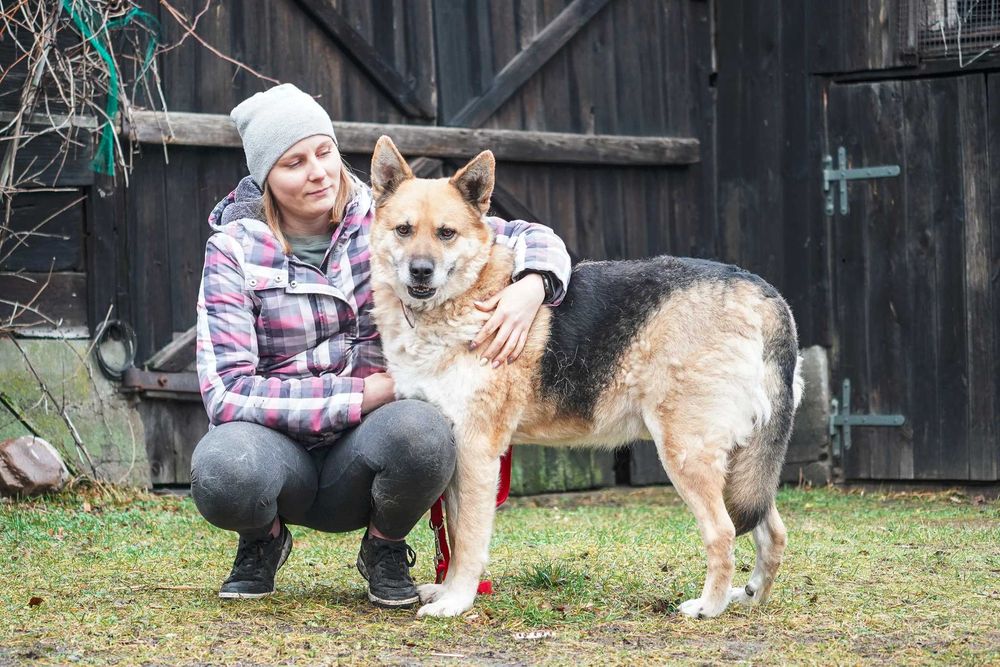 Rino całuśny słodziak jak ich mało szuka domku