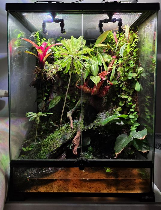 Paludarium / Terrarium / Vivarium Repti Planet 45x45x60