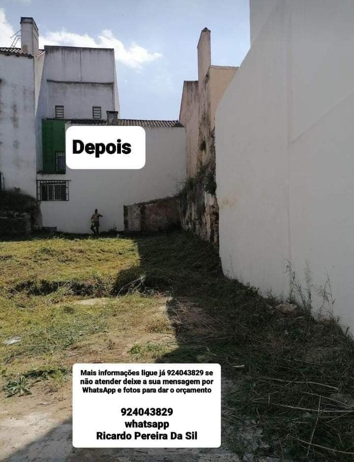 Limpeza geral terrenos jardins e quintais com roçadora