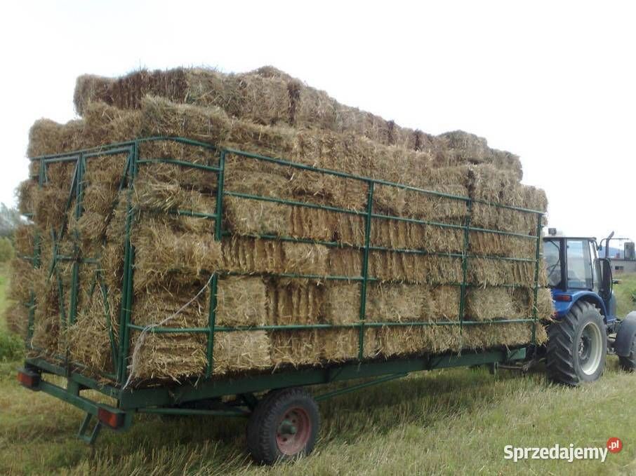 Słoma po pszenicy 130 cm siano  bele kostka heu stroh mala kostka