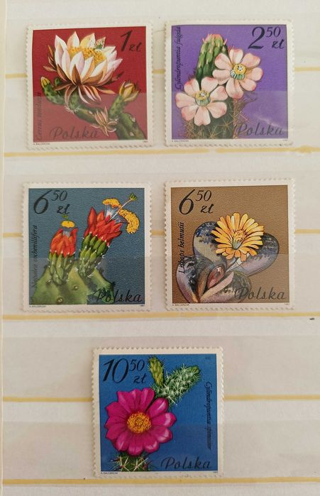 Znaczki seria sulkulenty 1981