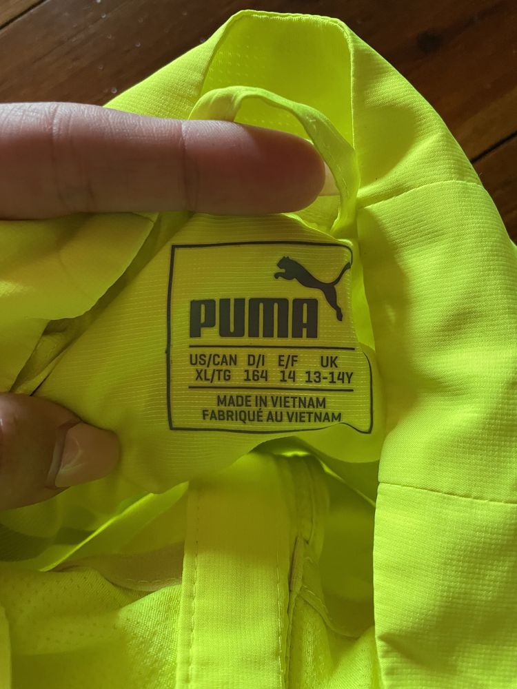 Вітровка Puma оригінал