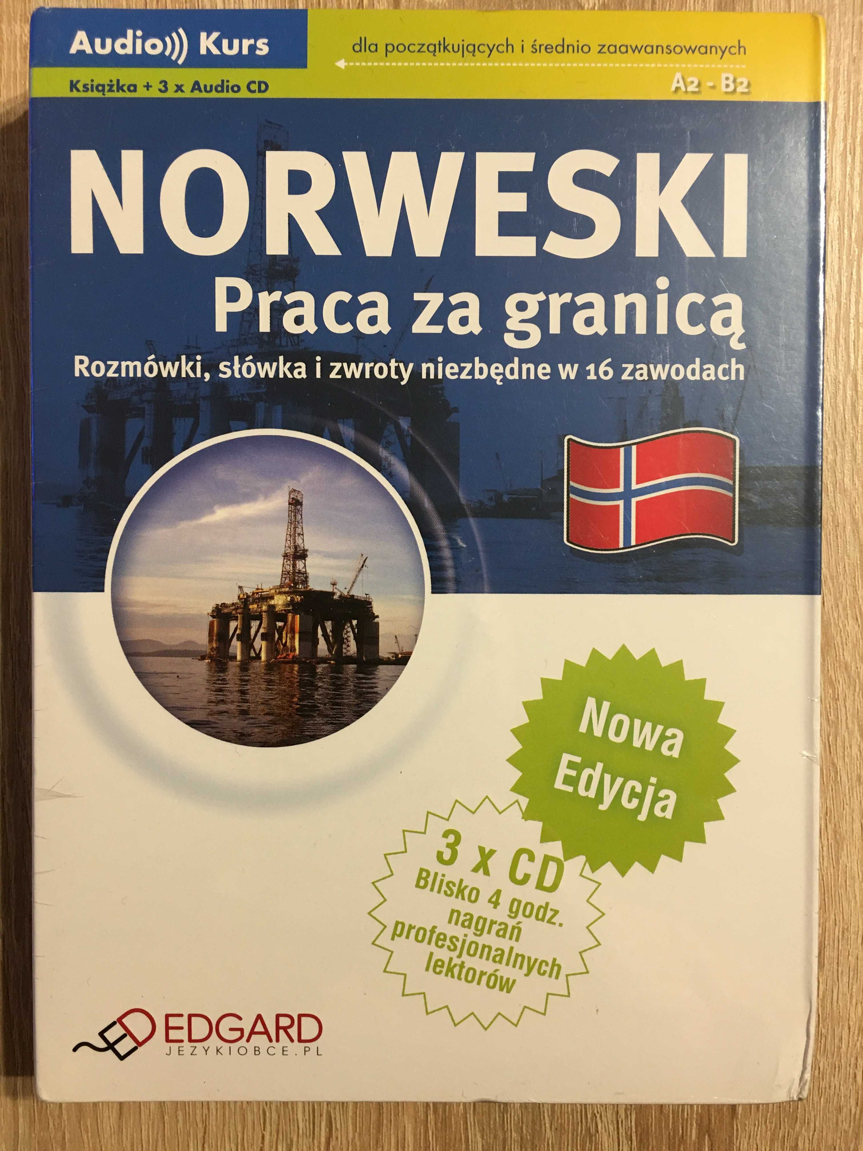 Kurs nauki języka norweskiego Praca za granicą