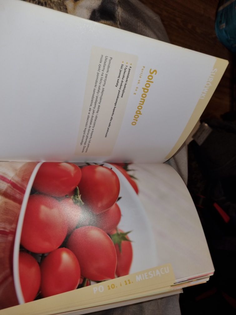 Książka u malucha na talerzu
