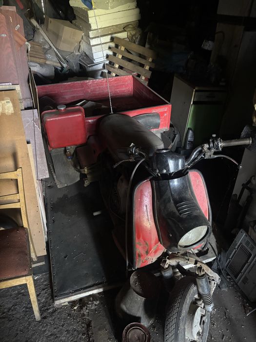 Муравей Тула в хорошем состоянии