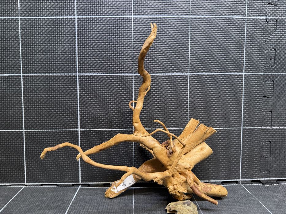 Korzeń red moor wood n-325