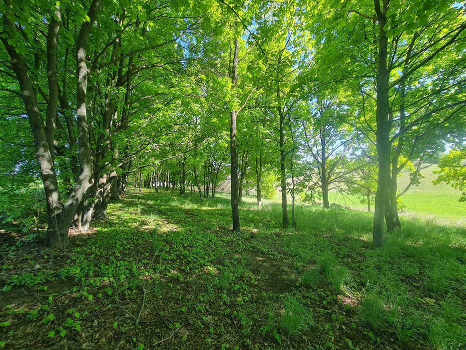 Продаж 14га землі, мальовнича Балка Хорватка, Кулибаба, 32км від Києва