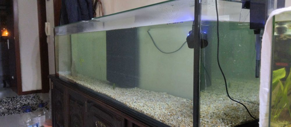 Aquario grande com filtros tudo novo