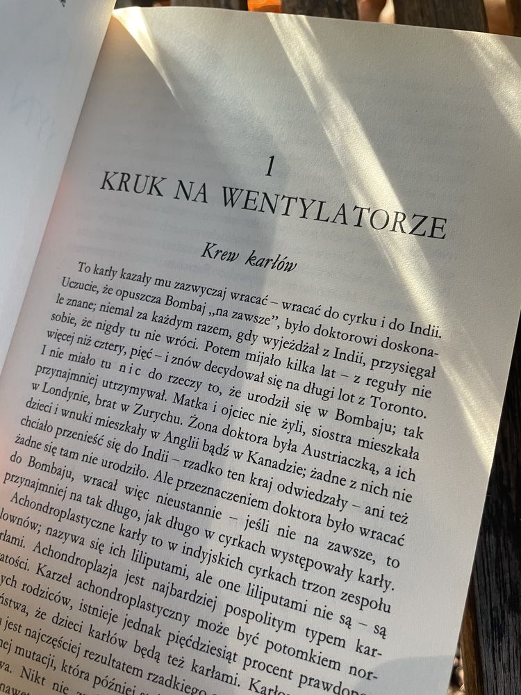 Syn cyrku - John Irving