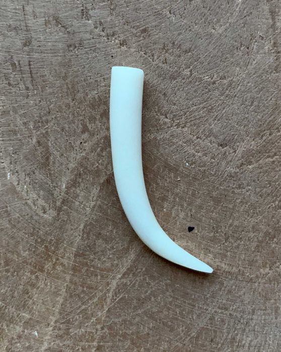 Róg bawoli - tunel, do ucha, 6mm