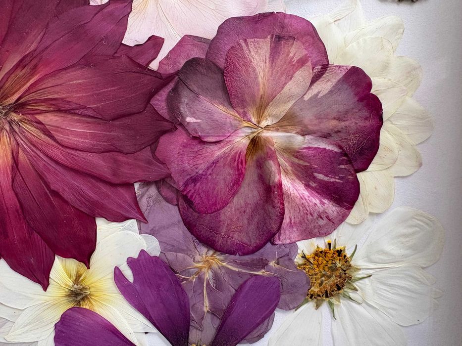 Obraz z kwiatami suszonymi 33x33 cm "Westchnienie romantyczności"