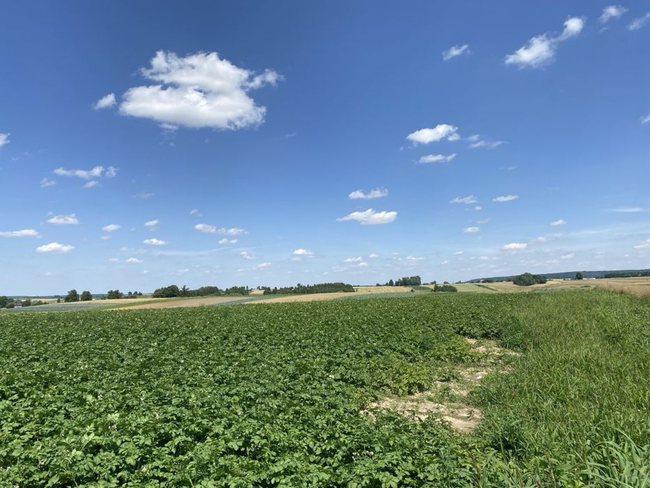 Dzialka rolna, ziemia rolna, pole orne