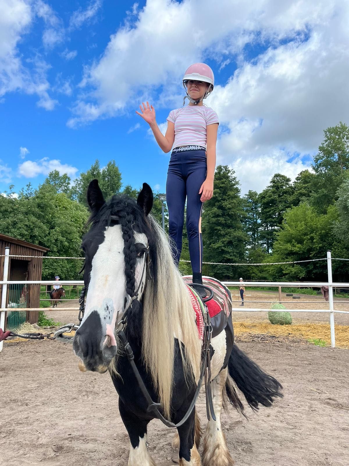 Walach irish cob