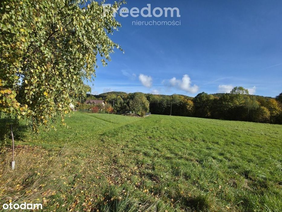 Atrakcyjna działka usługowa dla inwestora