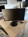 Monitor Eizo 2450