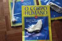 Corpo Humano fascículos com peças