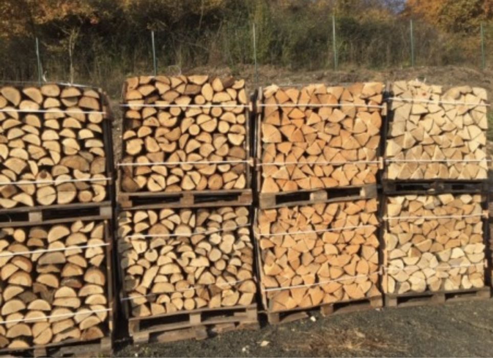 Drewno, drzewo, sosna, drewno kominkowe