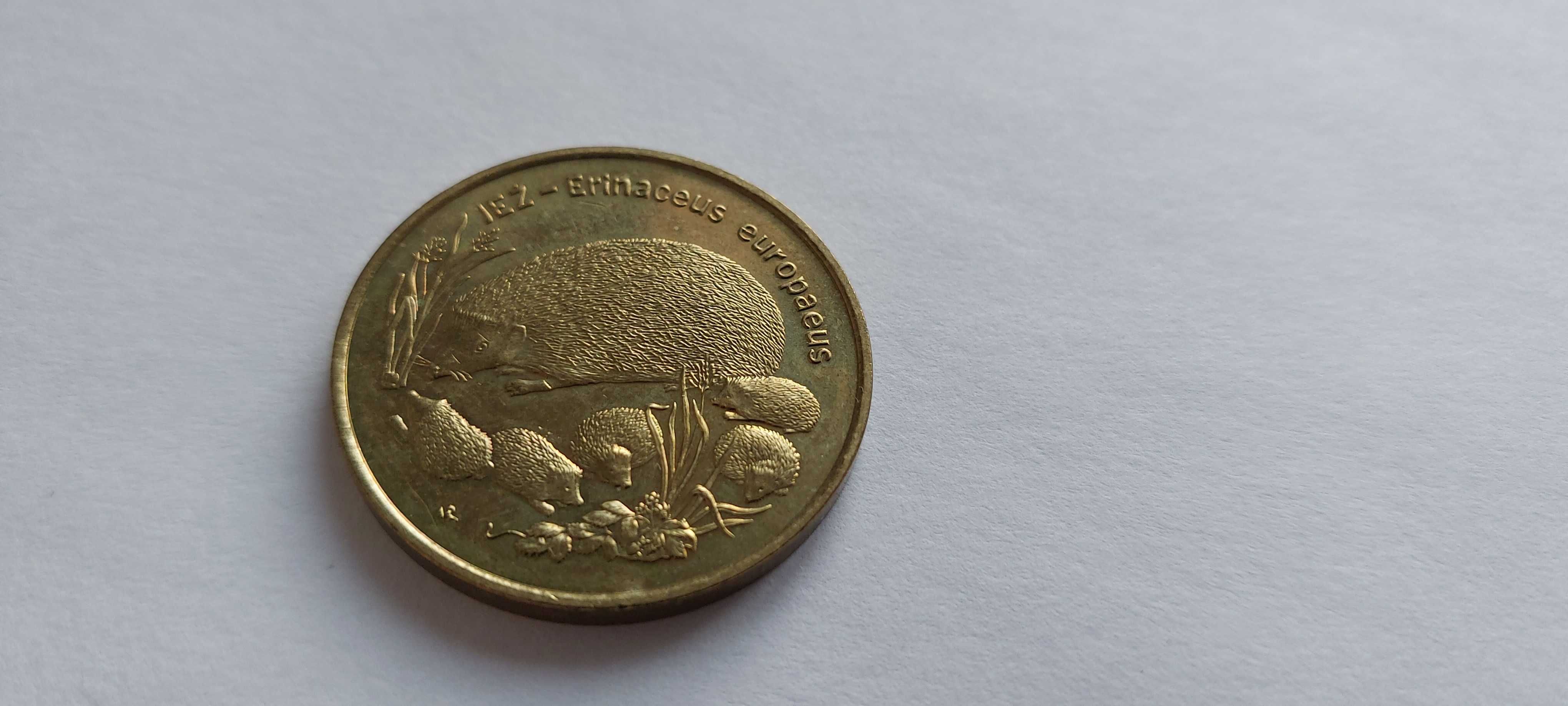 moneta 2zł Jeż Erinaceus Europaeus z obiegu rok 1996