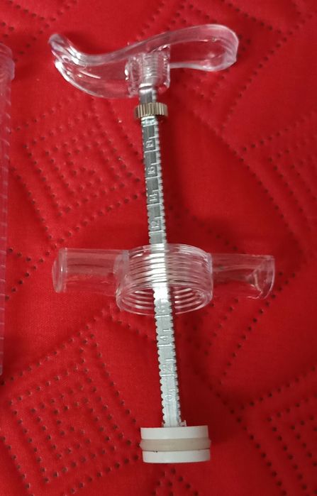 Pássaro aves animais criações